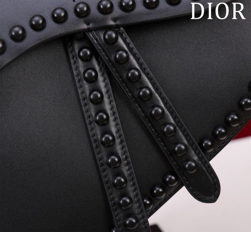 Christian Dior Saddle Bags